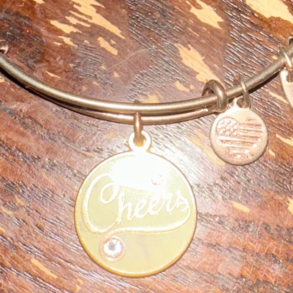 Alex and ani retired